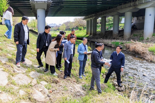 사진 = 마포구